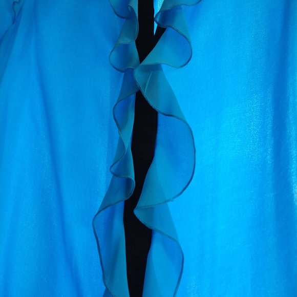 Prabel Gurung x Target blue long sleeve blouse w/black accents & ruffles Small - Picture 12 of 16